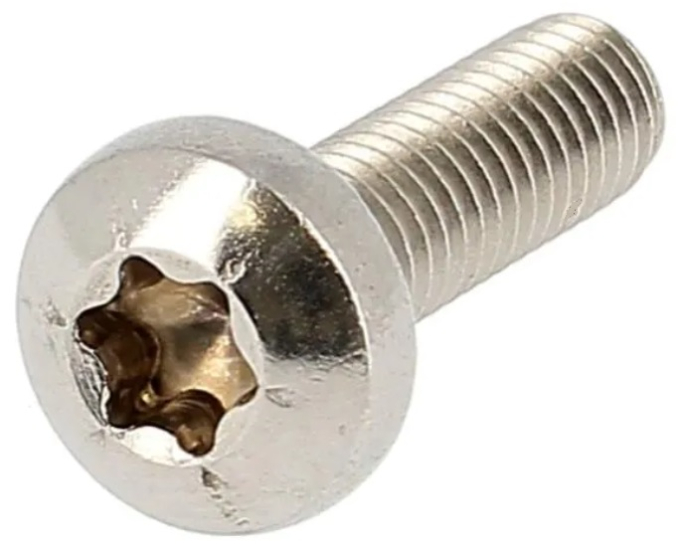 Bolcilinderschroef Torx